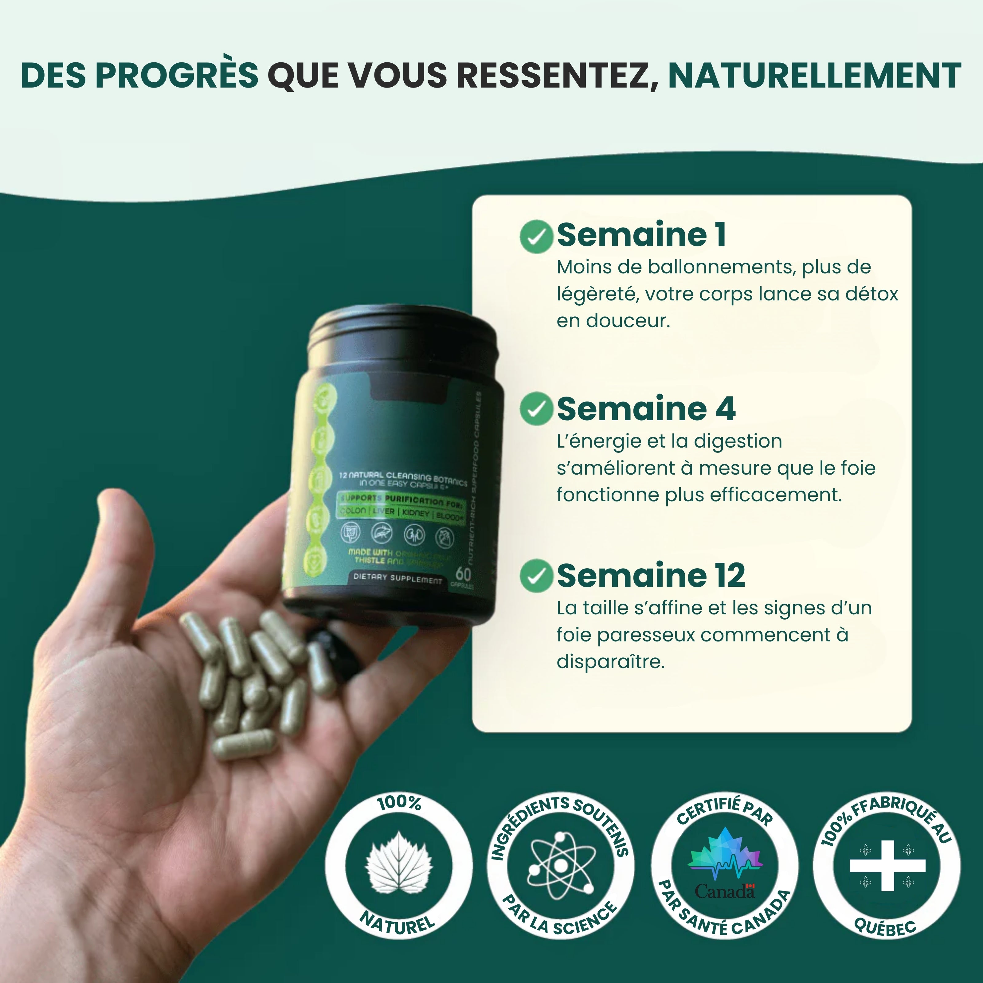 HerbaFluide – La formule naturelle #1 pour purifier et revitaliser le foie