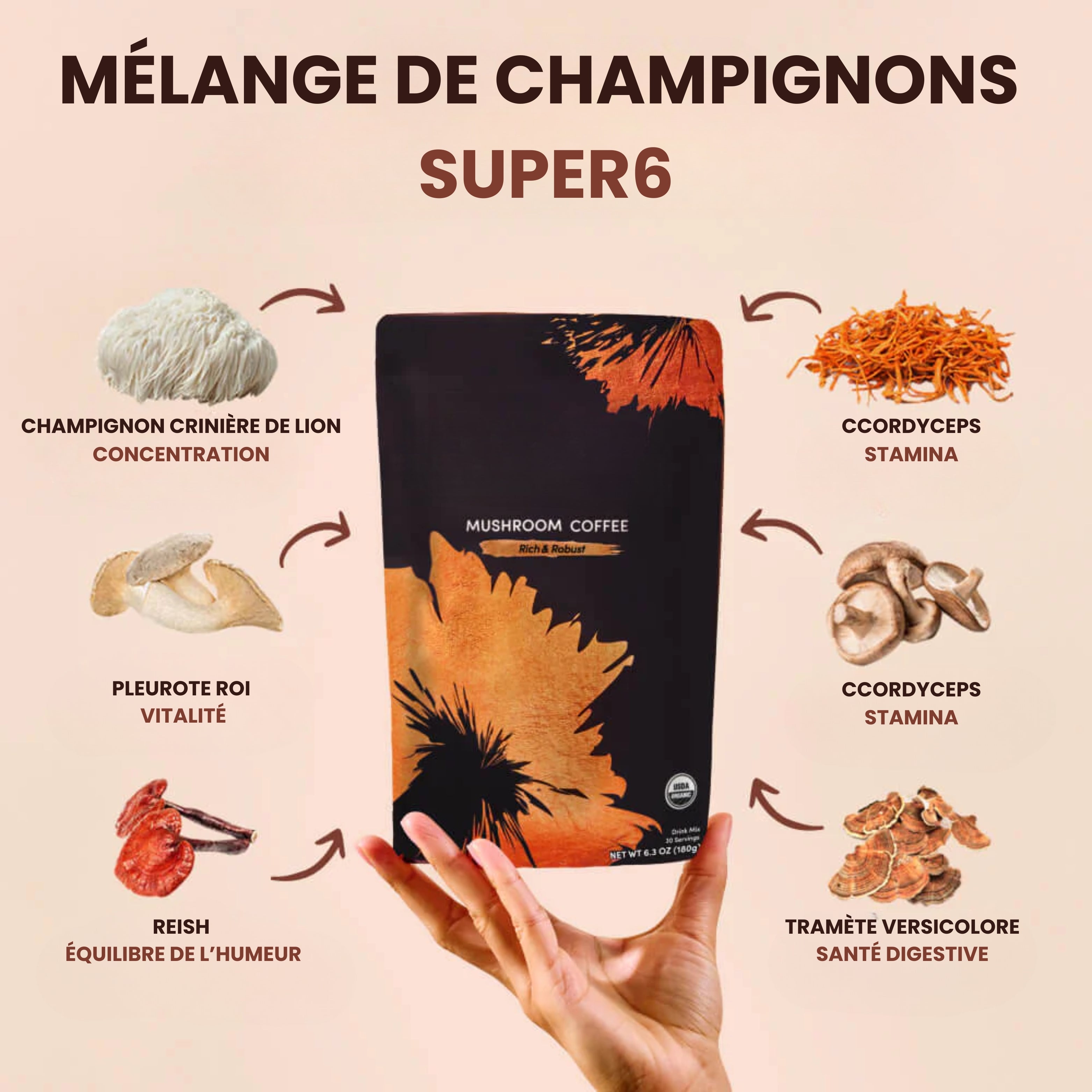 Olen - Café Aux Champignons